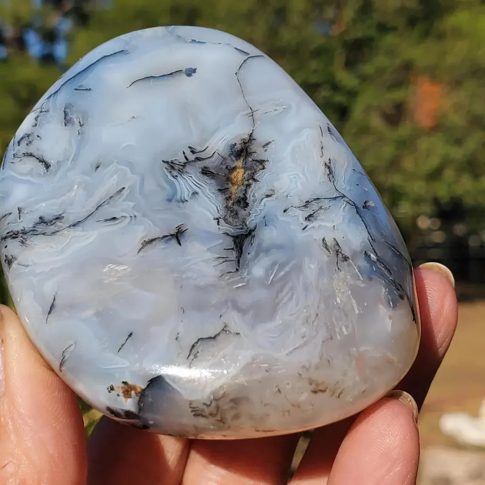 Dendritic Agate Multi-Color Pattern Translucent Freeform Crystal 258 Grams